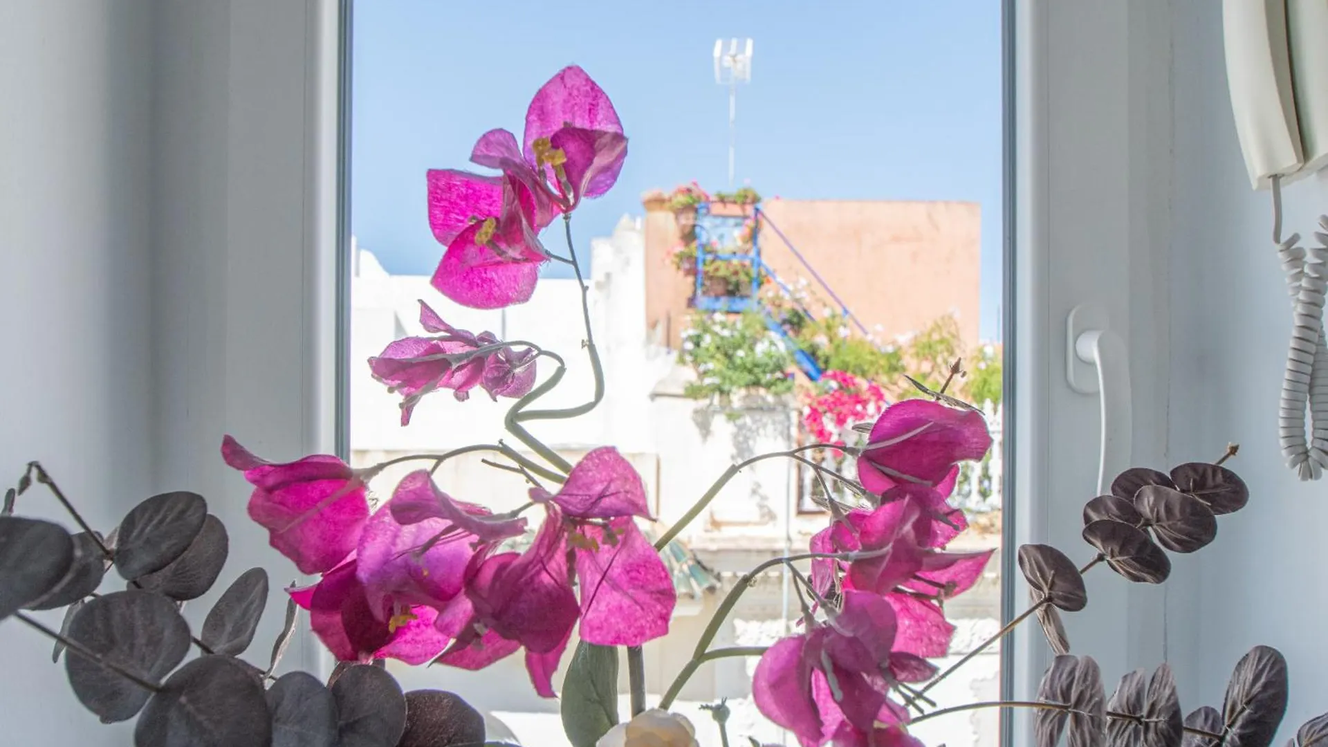 Apartamento El Espiritu De Cádiz 0*,
